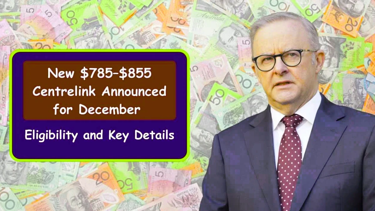 December Support Boost Unveiled